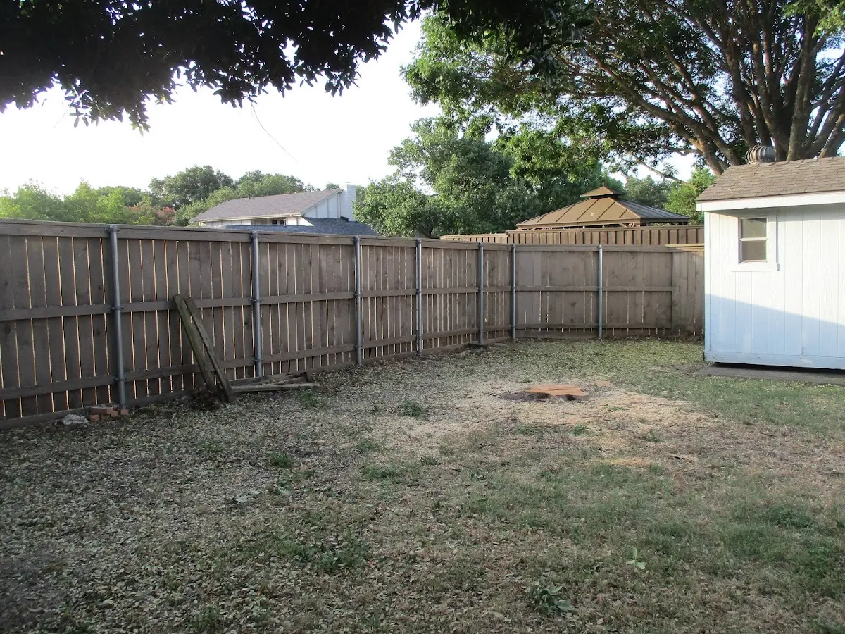 Cleared yard after professional tree removal in Porter Corners